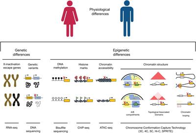 Gender-specific genetic and epigenetic signatures in cardiovascular disease
